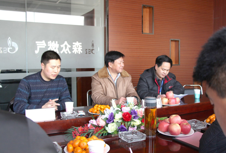 林口县政府与开云线上站官网-开云(中国)燃气项目洽谈.png